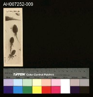 藏品(じをり型學習博物館：おたまじやくし)的圖片